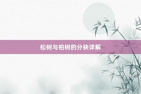 松树与柏树的分袂详解