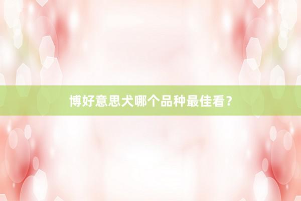 博好意思犬哪个品种最佳看？