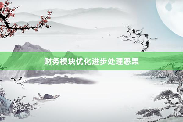 财务模块优化进步处理恶果
